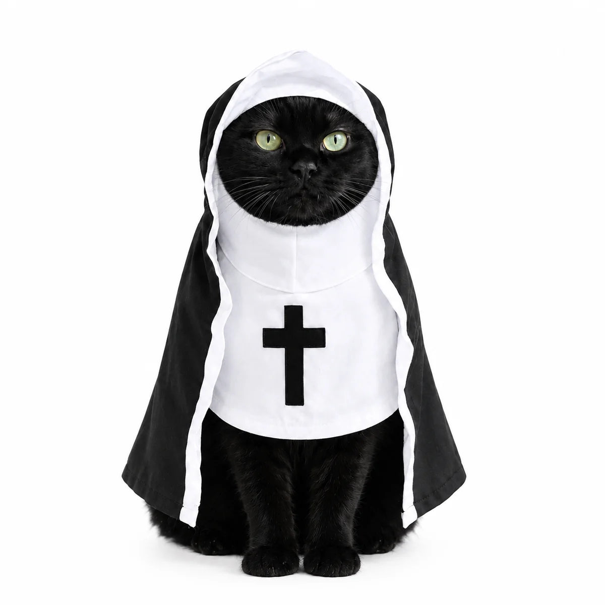 Holy pet costume