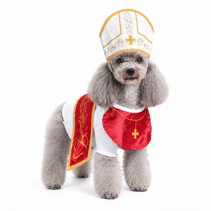 Holy pet costume