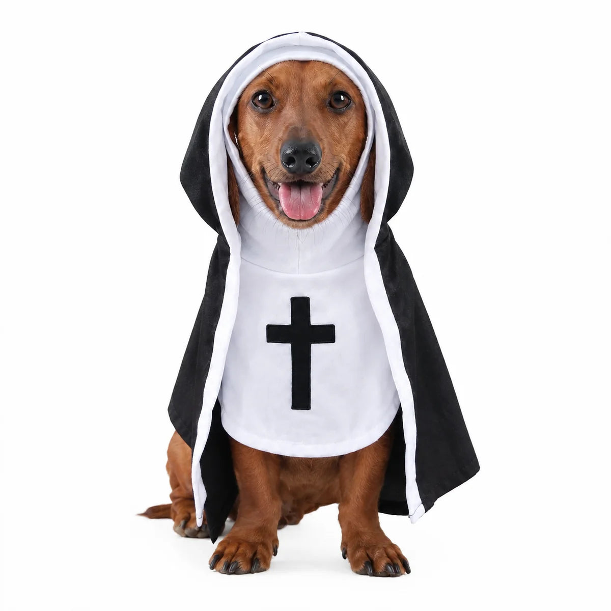 Holy pet costume