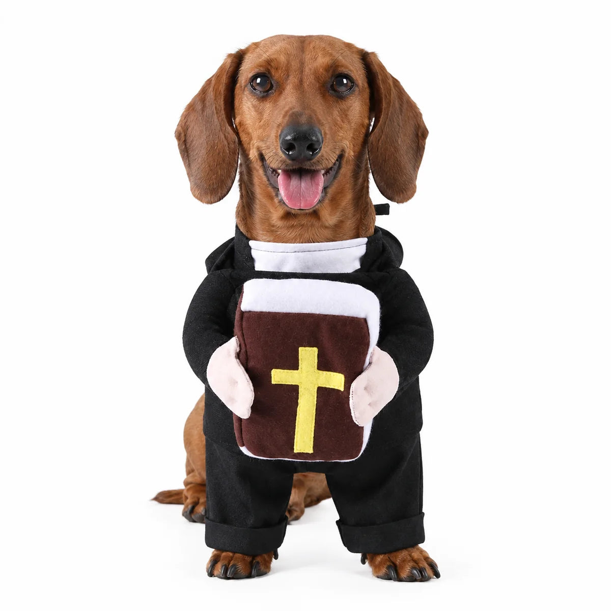 Holy pet costume