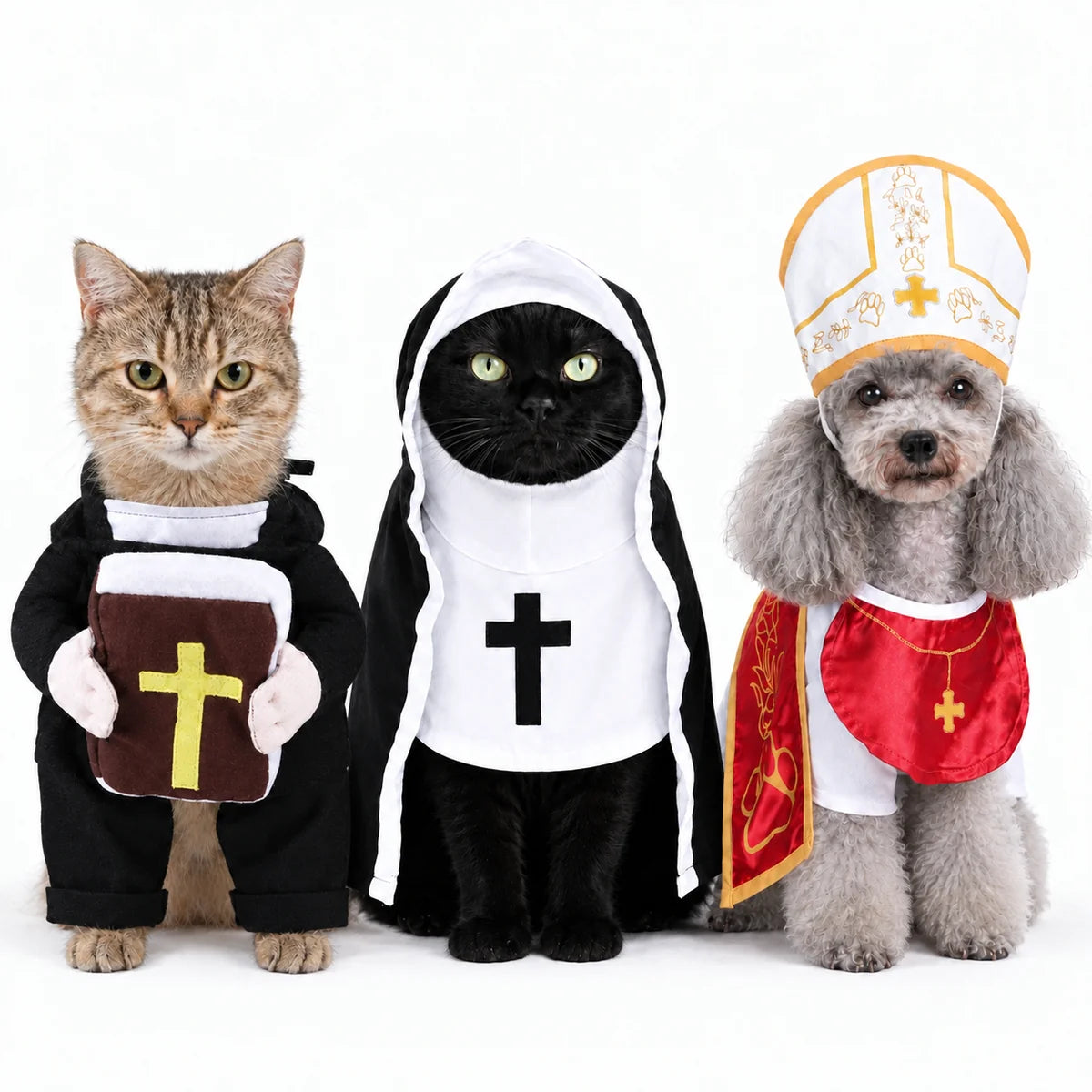 Holy pet costume