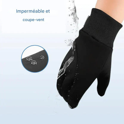 Thermal and waterproof winter gloves - Wenders